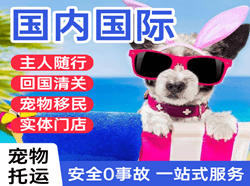 常州奔牛空运国际宠物托运 【国